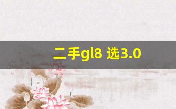 二手gl8 选3.0还是2.4,二手gl8哪款性价比高